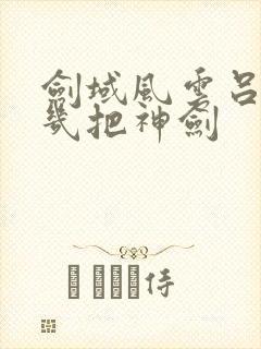 剑域风云吕阳有几把神剑