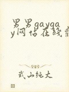 男男gaygay网站在线观看封面
