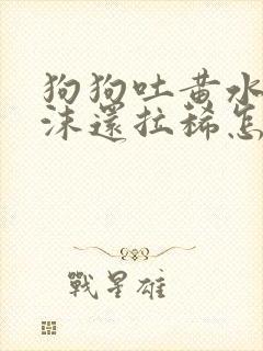 狗狗吐黄水带泡沫还拉稀怎么回事