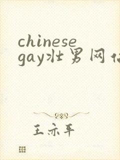 chinesegay壮男网站gvmanvideos