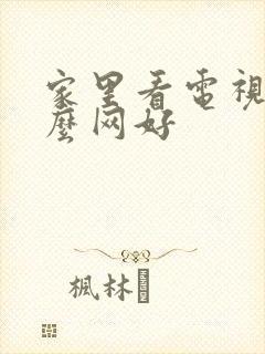 家里看电视用什么网好