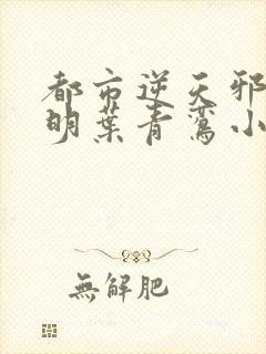 都市逆天邪医陆明叶青鸾小说