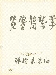 双胞胎试管 婴儿费用多少封面