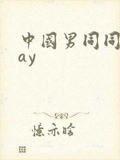 中国男同同性gay