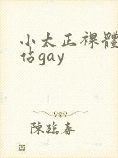 小太正裸体黄网站gay