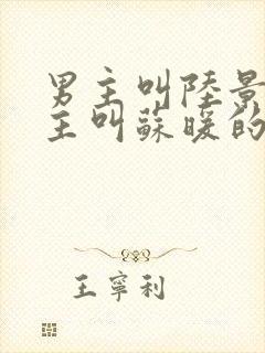 男主叫陆景琛女主叫苏暖的小说