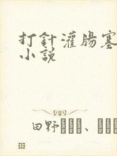 打针灌肠塞药栓小说封面