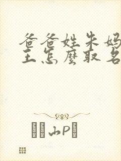 爸爸姓朱妈妈姓王怎么取名