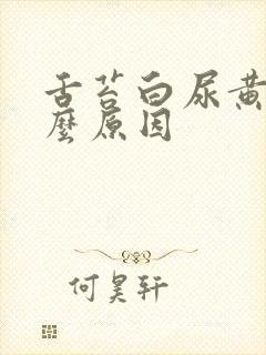 舌苔白尿黄是什么原因