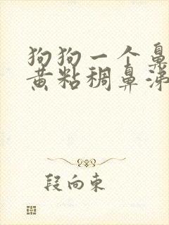 狗狗一个鼻孔流黄粘稠鼻涕