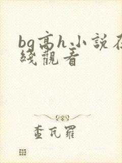 bg高h小说在线观看封面