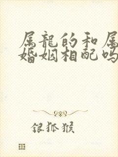 属龙的和属蛇的婚姻相配吗