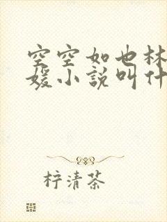 空空如也林正唐媛小说叫什么名字