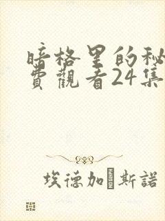 暗格里的秘密免费观看24集全