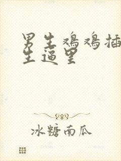 男生鸡鸡插进女生逼里