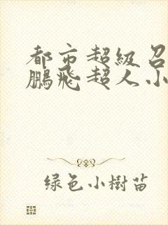 都市超级召唤师鹏飞超人小说封面