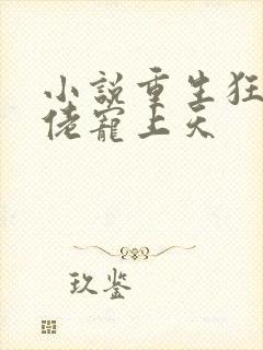 小说重生狂妻大佬宠上天封面