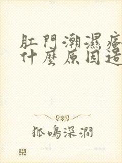 肛门潮湿瘙痒是什么原因造成的