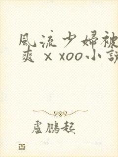 风流少妇被粗大爽ⅹxoo小说