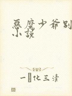 恶魔少爷别惹我小说