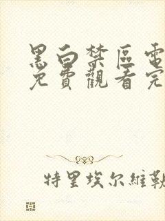 黑白禁区电视剧免费观看完整版高清