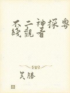 不二神探粤语在线观看