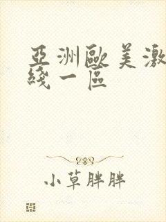 亚洲欧美激情在线一区