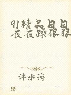 91精品日日躁夜夜躁狠狠躁