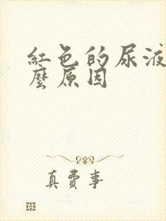 红色的尿液是什么原因