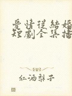 爱情从结婚开始短剧全集播放