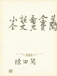 小说乔念叶妄川全文免费阅读封面