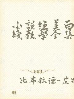 小说绝美白莲在线教学全集免费