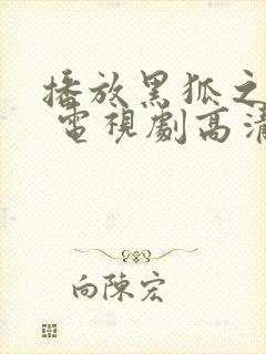 播放黑狐之风影 电视剧高清