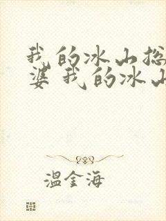 我的冰山总裁老婆 我的冰山总裁老婆