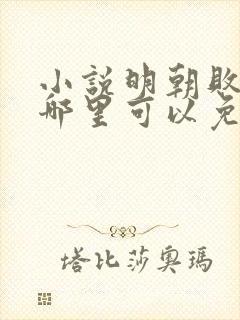 小说明朝败家子哪里可以免费阅读封面