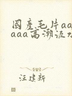 国产毛片aaaaaa高潮流水