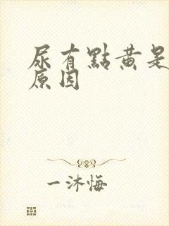 尿有点黄是什么原因