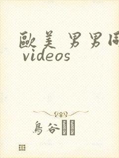 欧美 男男同性 videos