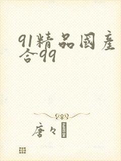 91精品国产综合99