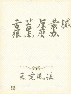 舌苔厚黄腻有齿痕怎么办