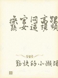 操官网高跟丝袜熟女逼视频