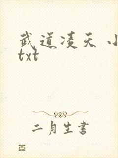 武道凌天 小说txt