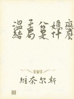 温柔公媳恋曲大结局是什么封面