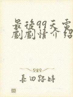 最后99天电视剧剧情介绍