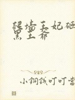 爬墙王妃砸到腹黑王爷