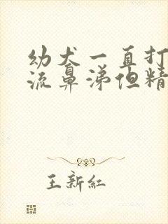 幼犬一直打喷嚏流鼻涕但精神很好封面