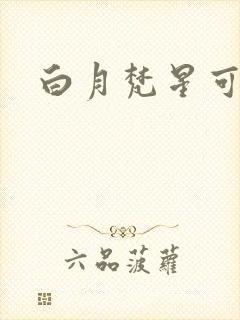 白月梵星可播放封面