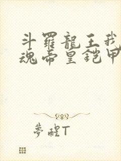 斗罗龙王我的武魂帝皇铠甲免费阅读