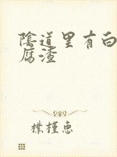 阴道里有白带豆腐渣