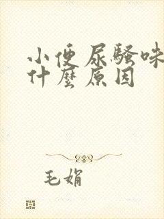 小便尿骚味重是什么原因